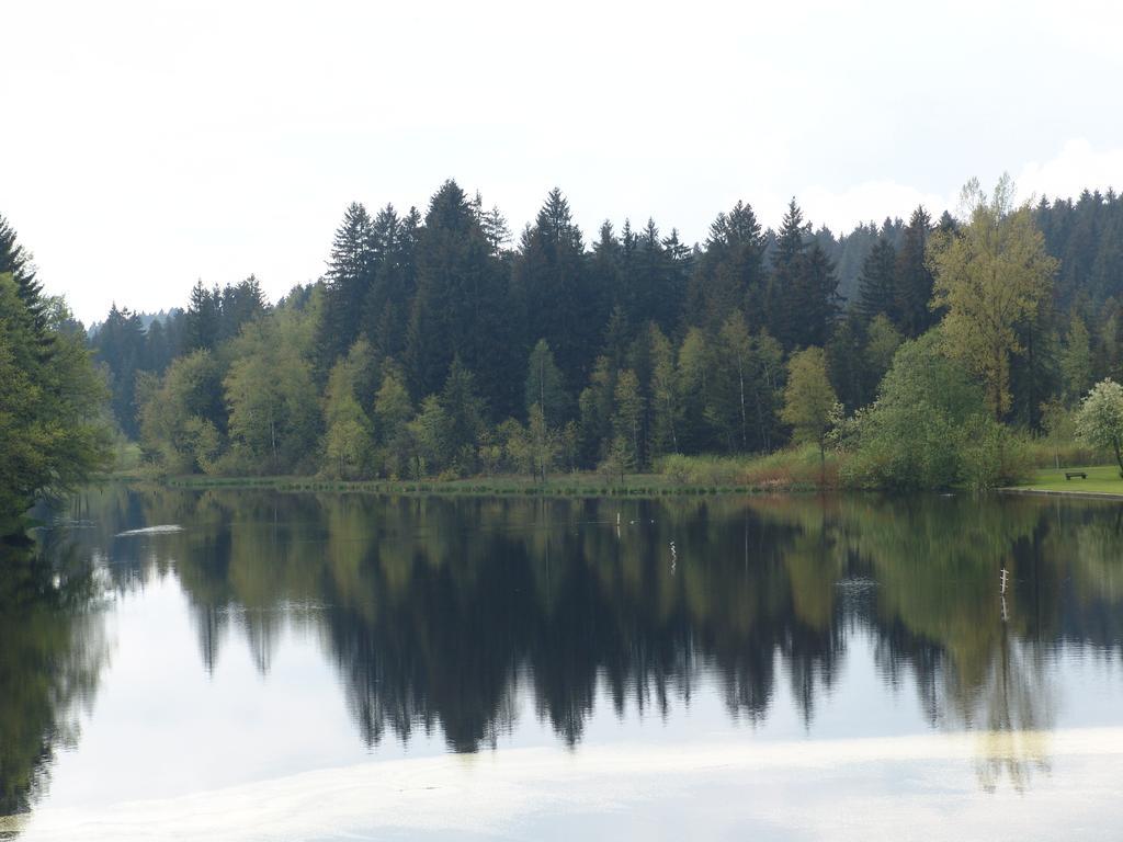 Hotel Waldsee Lindenberg im Allgäu Buitenkant foto