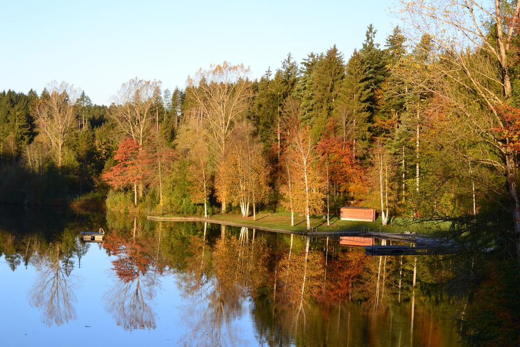 Hotel Waldsee Lindenberg im Allgäu Buitenkant foto