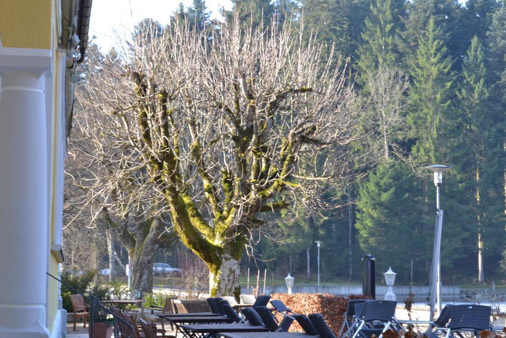 Hotel Waldsee Lindenberg im Allgäu Buitenkant foto