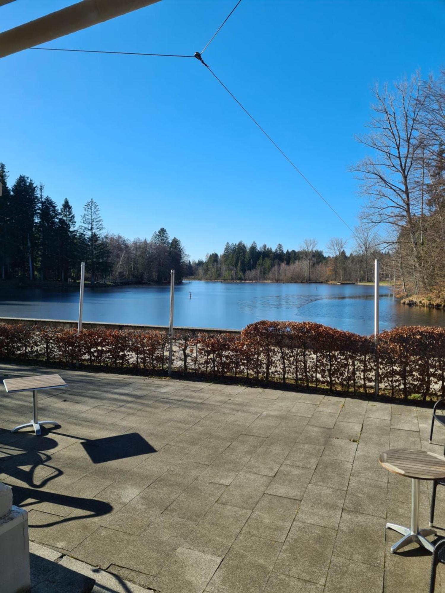 Hotel Waldsee Lindenberg im Allgäu Buitenkant foto