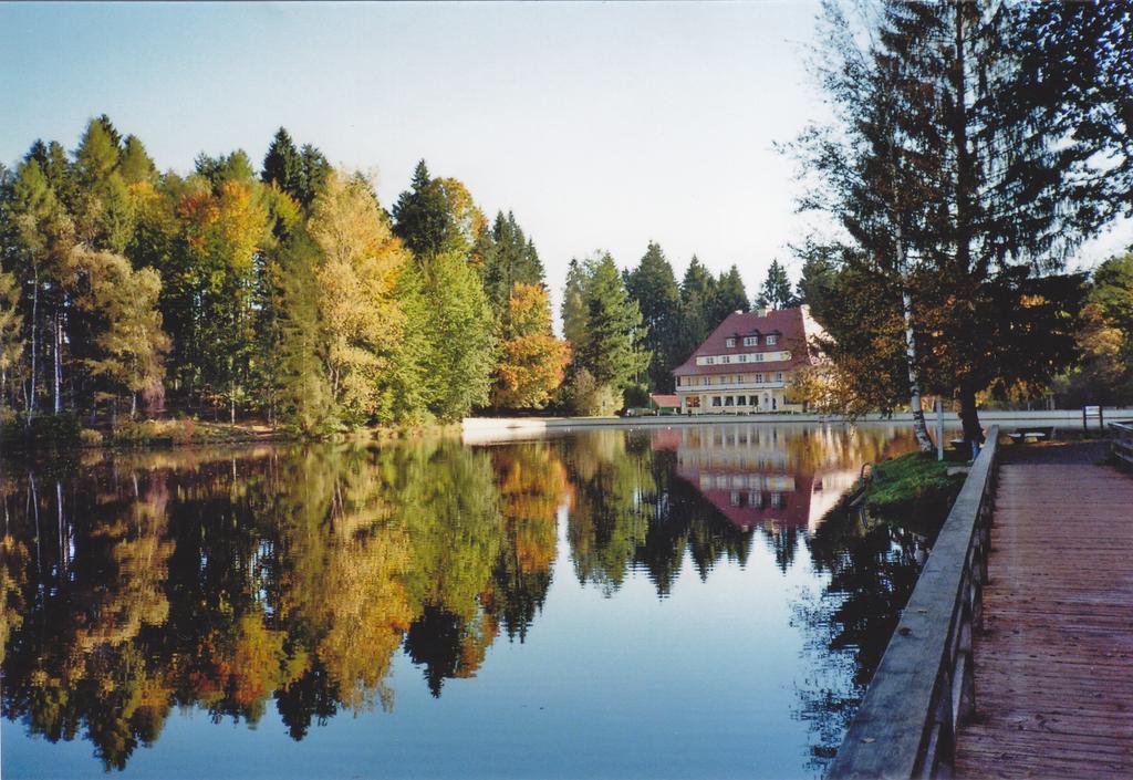 Hotel Waldsee Lindenberg im Allgäu Buitenkant foto